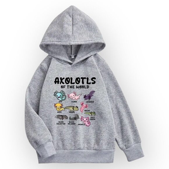Axolotls Of The World Minecraft Inspired Gray Hooded Sweatshirt Youth Size 7-8 - Picture 1 of 7